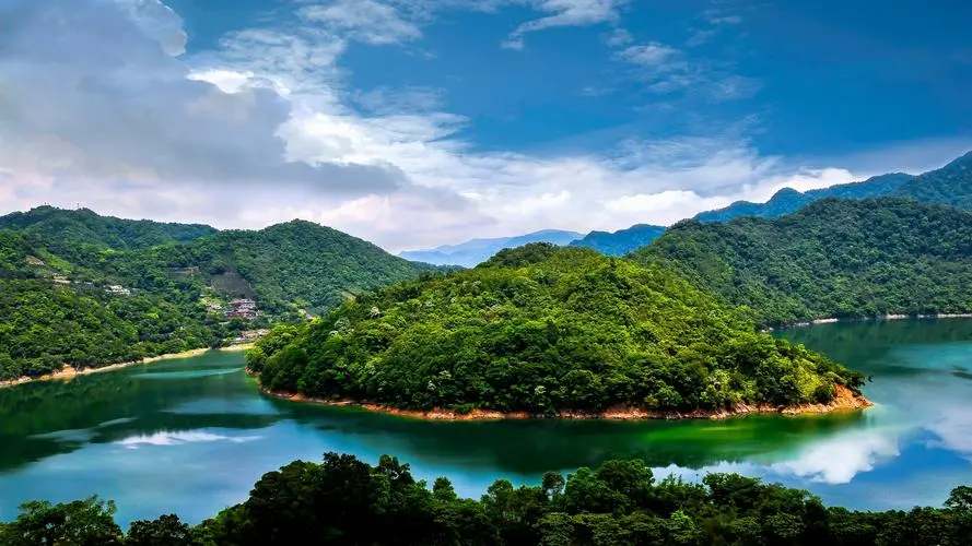 高性能自动化
